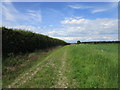 Bridleway to Furze Hill in Thorpe in the Fallows