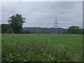 Crop field and pylon north of Trysull  in WV4 4XD