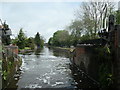Grand Union Canal below Loughborough Lock [no 53] in LE11 5RF