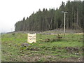 Forestry in Gleann Seilisdeir in PA69 6ET