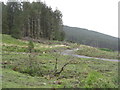 Forestry track in Gleann Seilisdeir in PA69 6ET
