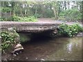 Bridge and ford at Pont-Lasau in SA6 6NU