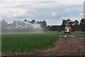 Irrigating a crop of onions in IP12 3PW