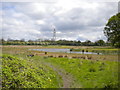 Pool and pylon, Sinfin Moor in DE24 9ET