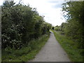 Derby Canal path west of Chellaston (2) in DE73 5BG