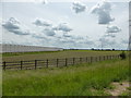 Fields and Glasshouses in Spalding St. Mary's Ward
