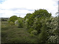 Railway trackbed, Chellaston (1) in DE73 6RA