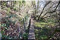 Duckboards carry footpath over marshy ground in PL7 5AR