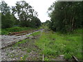 Disused railway off North Road in CH65 1BL