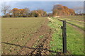 Tap in field near Aldham Priory in IP7 6NT
