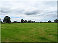Cut silage field near Lea Farm in Lea-by-Backford