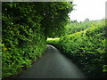 Mid Devon : Country Lane in EX18 7JY