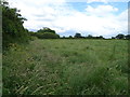 Grassland off Hermitage Road, Saughall in CH1 6AG
