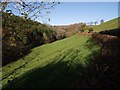 Valley below Crossbury in EX32 0TA