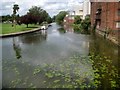 River Nene: Viewed from the Wellingborough Bridge in NN8 2DZ