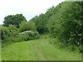 Airport Trail at Ducks Nest Wood in DE74 2TR