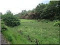 View from a Telford-Ironbridge train - field next to track in TF7 4QT