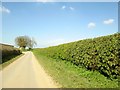 Wall's  Lane  toward  Cley  next  the  Sea in Letheringsett with Glandford