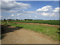 Potato field at Kirkby La Thorpe in Kirkby La Thorpe