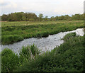 River Lark in IP28 6PT
