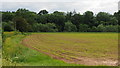 Arable land on the Wye floodplain in HR2 9QQ