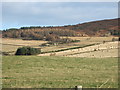 View NE towards Braeside in AB31 4NL