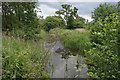 Drain towards North Walsham-Dilham Canal in NR12 9AA