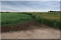 Crop boundary by Town Road in NR12 9SE