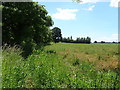 Crop field and hedgerow near Lower Hollowfields Farm in B96 6TQ