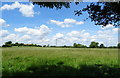 Grassland towards Hill Farm in B96 6TG