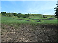 Farmland below Glaisdale Rigg in YO21 2PZ