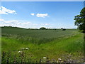 Crop field off Hardwick Lane  in B80 7DX