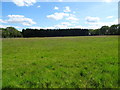 Grassland off Whitepits Lane in B98 9BT