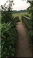 Footbridge near Shustoke Reservoir in B46 2BE