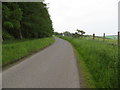 Minor road beside Drimmie Wood heading towards Kymballoch in PH10 7JB