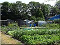 Bradmore Road Allotments in DE13 0TL