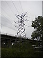 Portrait of a pylon north of Bidston (1) in CH44 2EW