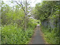 Footpath north of Bidston (2) in CH45 8RE