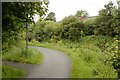 A bend on the Forth and Clyde Canal in G23 5AF