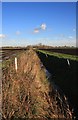 Drain on Decoy Fen in IP27 9LH
