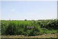 Fields of Creek Fen in PE15 8SE