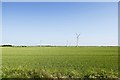 Farmland in front of the turbines in PE15 0BU