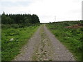 Farm track leading to Hill of Drimmie in PH10 7JD