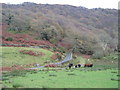 Farmland at Llanfrothen in LL48 6DY