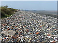 Dee Estuary shoreline at Glan-y-don in Mostyn Community