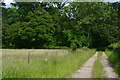 Footpath on track into Snook's Copse in SO51 0LU
