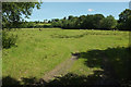 Sheep pasture near Borner's Bridge in EX36 3HQ