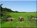Farmland beside the A6096 in Dale Abbey