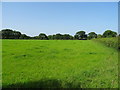 Field beside Main Road (A608), Morley in DE7 6DG