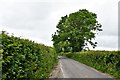 Cucklington: Tinker's Lane in BA9 9PS